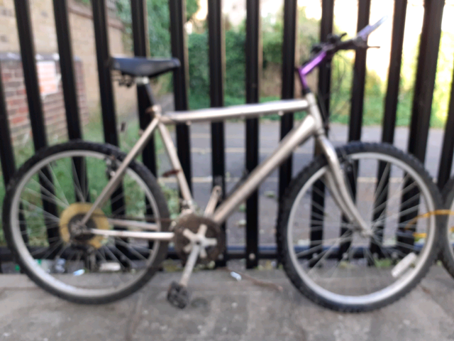 royce union 18 speed mountain bike